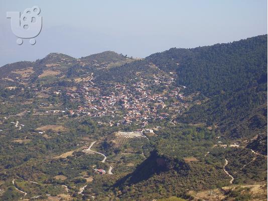 ΑΚΙΝΗΤΟ 35 ΣΤΡΕΜΜΑΤΑ