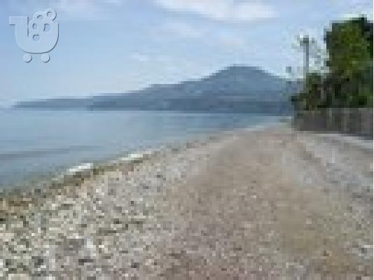 Πωλείτε οικόπεδο 2900τ.μ στο Διακοφτό