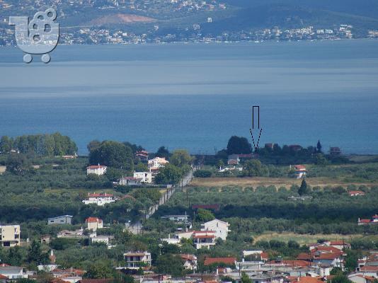 PoulaTo: ΠΩΛΕΙΤΑΙ ΑΓΡΟΤΕΜΑΧΙΟ  ΣΤΑ ΚΑΜΕΝΑ ΒΟΥΡΛΑ 61 m φάτσα Θάλασσα.
