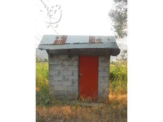 ΕΛΑΙΟΠΕΡΙΒΟΛΟ 3 ΣΤΡΕΜΜΑΤΑ