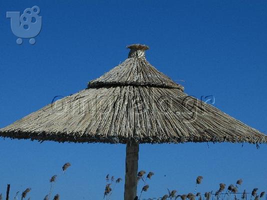 PoulaTo: ΟΜΠΡΕΛΕΣ ΨΑΘΙΝΕΣ ΠΑΡΑΛΙΑΣ, ΟΜΠΡΕΛΕΣ ΘΑΛΑΣΣΗΣ ΑΠΟ ΚΑΛΑΜΙ, ΞΑΠΛΩΣΤΡΕΣ