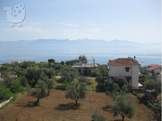 ΕΠΑΓΓΕΛΜΑΤΙΚΟΣ ΧΩΡΟΣ-ΚΤΗΡΙΟ ΕΠΑΓΓΕΛΜΑΤΙΚΩΝ ΧΩΡΩΝ!!! KFKM7560ΠΜ1....