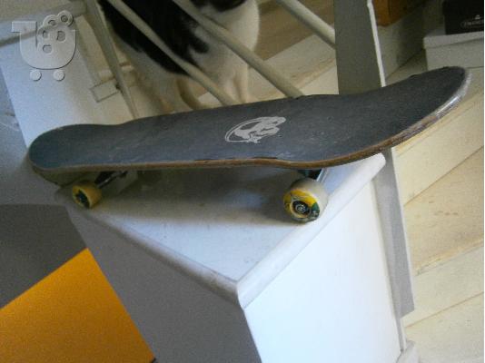 Skate σανίδα skateboard crazy creek