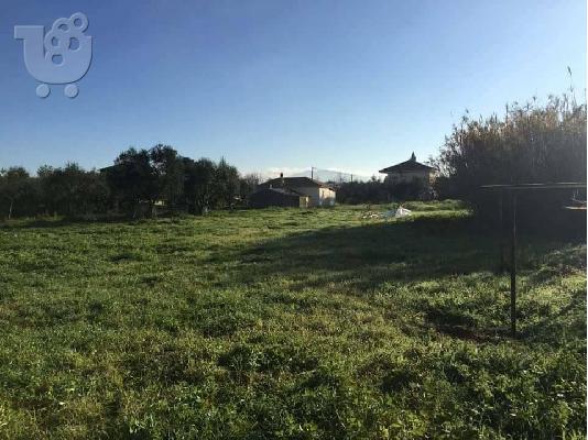 Πωλείται οικόπεδο 2 στρέμματα στη περιοχή του Παντοκράτωρα....