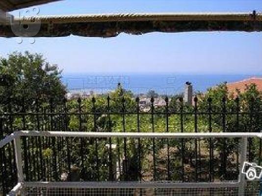 ΚΥΠΑΡΙΣΣΙΑ ΑΝΩ ΠΟΛΗ