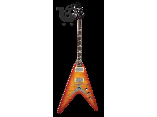 PoulaTo: Hamer Vector
