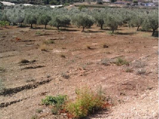 PoulaTo: ΠΩΛΕΙΤΑΙ ΟΙΚΟΠΕΔΟ