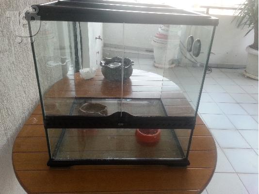 PoulaTo: Terrarium Exo Terra