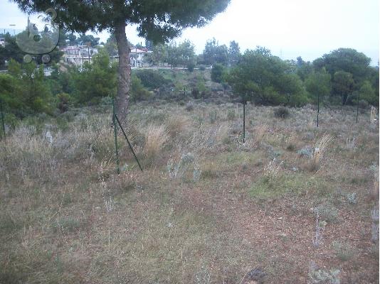 Άγιοι Θεόδωροι Κορινθίας πωλούνται οικόπεδα