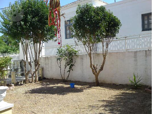 Σπέτσες μονοκατοικία