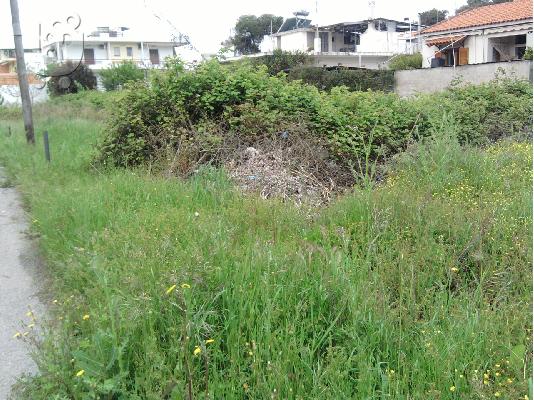 Πωλείται οικόπεδο στο Πευκί Ευβοίας 186 τ.μ.