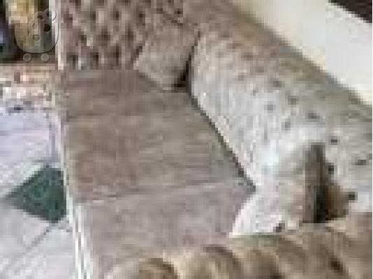 ΚΑΝΑΠΕΔΕΣ Chesterfield