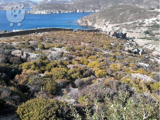 PoulaTo: Πώληση Οικοπέδου Πάτμος
