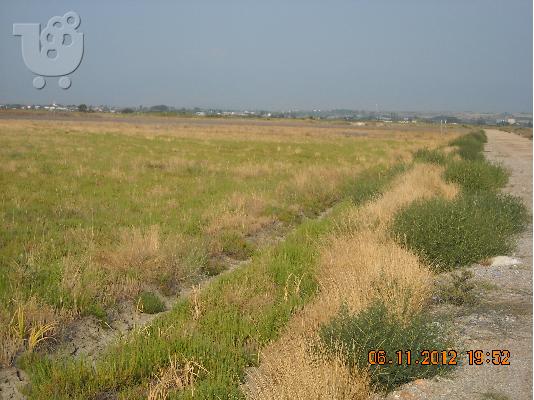 Πώληση οικοπέδου από ιδιώτη στον οικισμό Ολυμπιάδα στην παραλία Κορινού Πιερίας σε τιμή ευ...