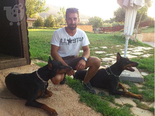 PoulaTo: ΠΩΛΟΥΝΤΑΙ ΚΟΥΤΑΒΙΑ ΝΤΟΜΠΕΡΜΑΝ