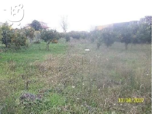 PoulaTo: Ενοικιαζεται οικοπεδο