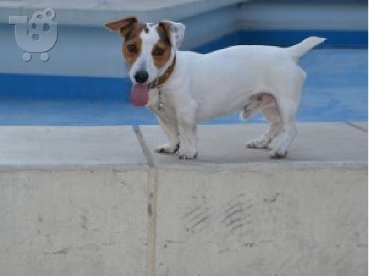 JASK RUSEL