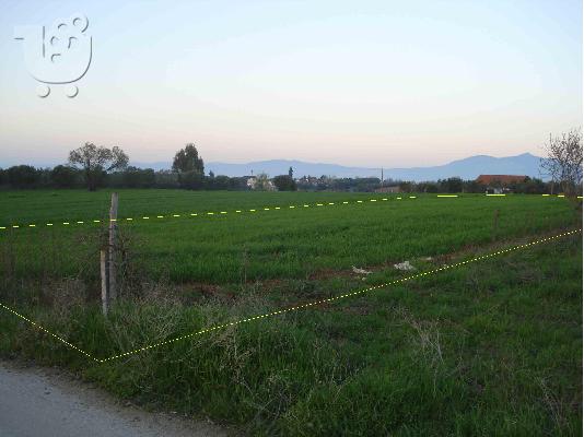 ΑΓΡΟΤΕΜΑΧΙΟ ΟΙΚΟΔΟΜΗΣΙΜΟ ΣΤΗΝ ΑΝΩ ΑΓΙΑ ΤΡΙΑΔΑ ΘΕΣΣΑΛΟΝΙΚΗΣ...