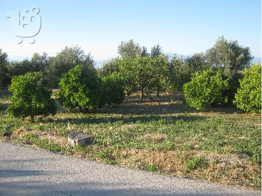 Πωλείται αγροτεμάχιο, περιοχή Γελινιατίκων Δήμου Ξυλοκάστρου...