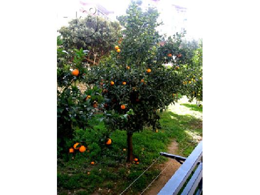 διαμερισμα Χολαργός μετρό