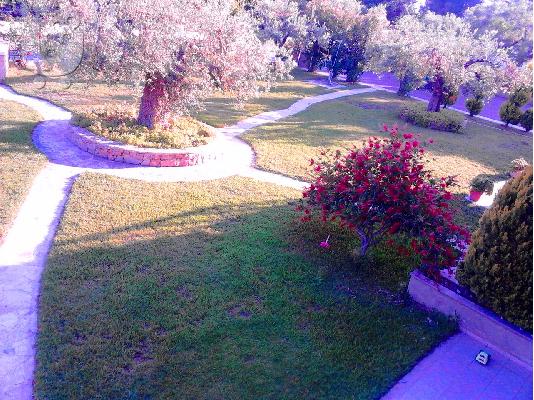 διαμέρισμα στη θάλασσα,Μόλα Καλύβα Κασσάνδρας