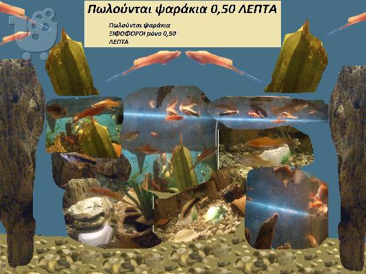 Πωλούνται ψαράκια  0,50 ΛΕΠΤΑ