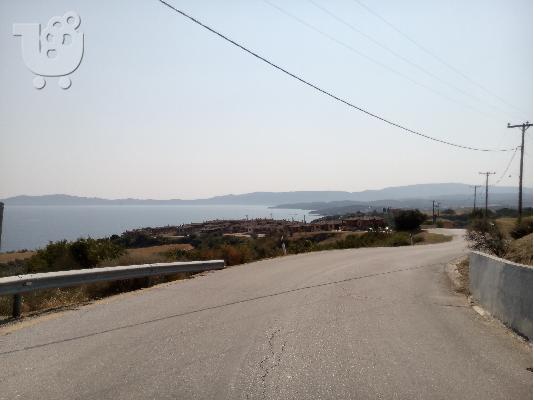 πώληση Αγροτεμαχίου