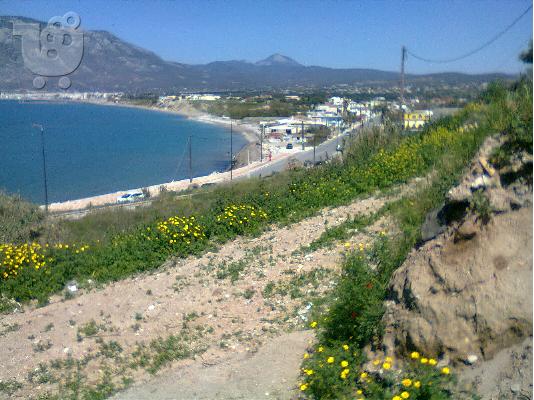 ΠΑΡΑΘΑΛΛΑΣΙΟ ΟΙΚΟΠΕΔΟ ΜΕΓΑΛΗ ΕΥΚΑΙΡΙΑ ΣΤΗΝ ΚΟΡΙΝΘΟ...