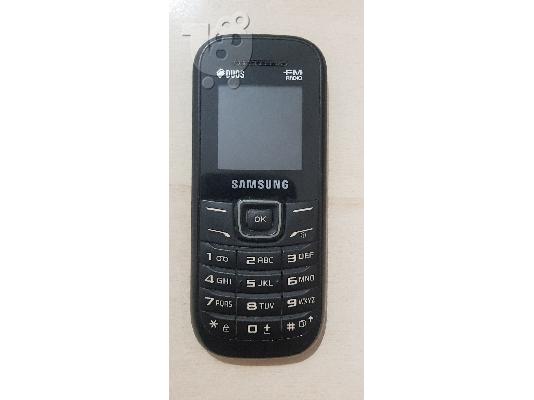 PoulaTo: Samsung Guru E1207Y