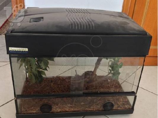 PoulaTo: TERRARIUM για ιγκουάνα η ερπετά