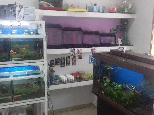 Πωλειται Pet Shop