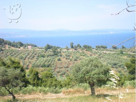 ΑΓΡΟΤΕΜΑΧΙΟ 2 ΣΤΡΕΜ, ΜΕ ΘΕΑ ΣΤΗ ΘΑΛΑΣΣΑ, ΑΓΙΟΣ ΝΙΚΟΛΑΟΣ...