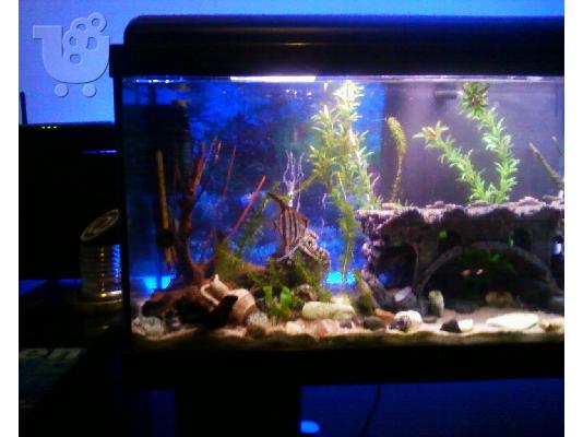 ΕΝΥΔΡΕΙΟ 120 ΛΙΤΡΑ AQUATLANTIS