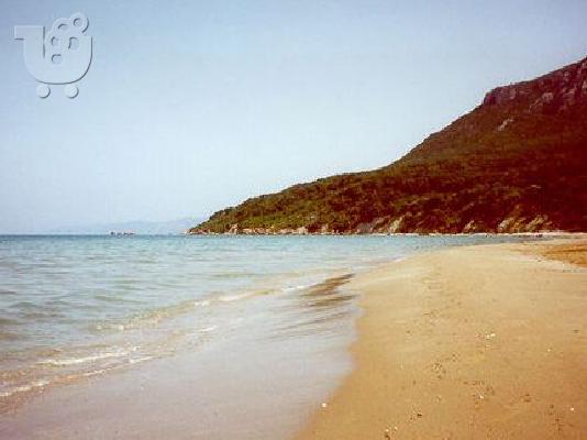 PoulaTo: Πωλείται αγρόκτημα 12.500 τ.μ στην Κέρκυρα 