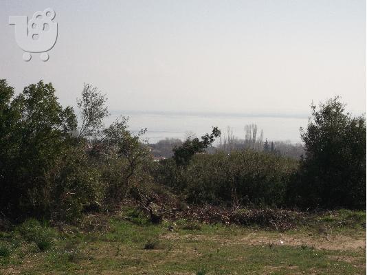 PoulaTo: πωληση αγροτεμαχιου