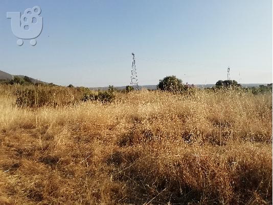ΠΩΛΕΙΤΑΙ ΑΓΡΟΤΕΜΑΧΙΟ 2 ΣΤΡΕΜΑΤΑ