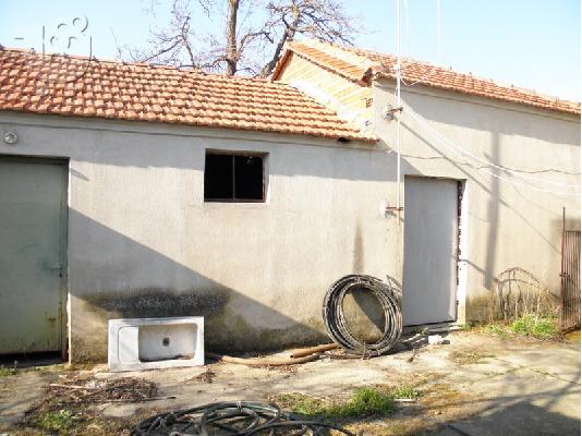 Κεντρικό Οικόπεδο, Προάστιο Χρυσούπολης