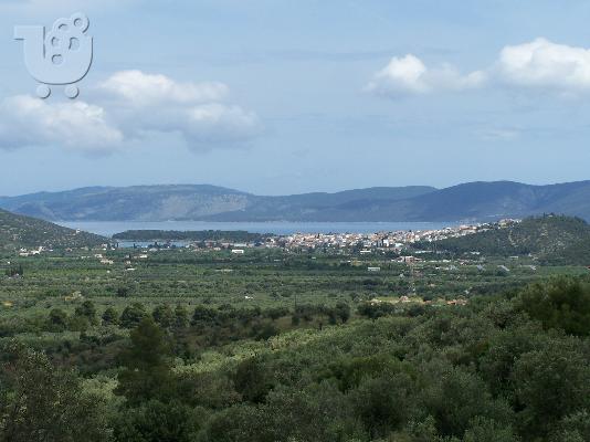 Αγροτεμαχιο 13στρ 45000 συζητησιμη