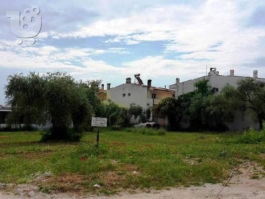 PoulaTo: Πώληση οικοπέδου στην Σκάλα Ποταμιάς θάσου
