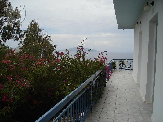 ΑΙΓΙΝΑ Αιγινιτισσα, καλή κατάστασης μονοκατοικία, 115 τ.μ.,...