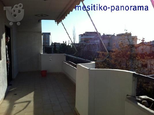 PoulaTo: ΕΛΛΗΝΩΡΩΣΩΝ