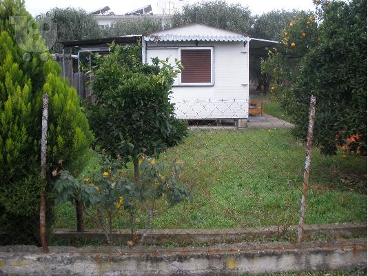 ΟΙΚΟΠΕΔΟ 850ΤΜ ΣΤΟΝ ΜΩΛΟ ΦΘΟΙΩΤΙΔΟΣ