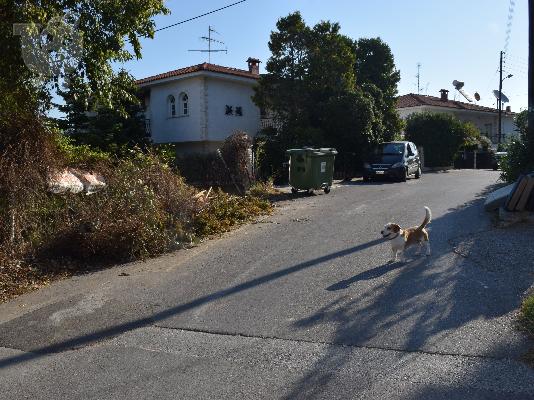 Πωλείται οικόπεδο 500 Τ.Μ