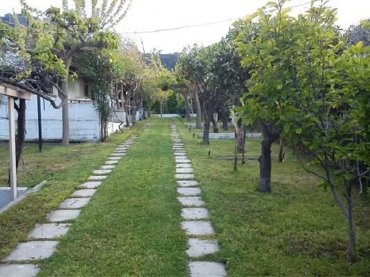 PoulaTo: ΞΥΛΟΚΑΣΤΡΟ