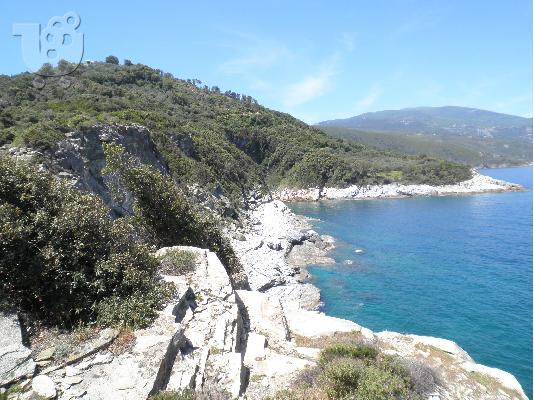 ΠΩΛΕΙΤΑΙ ΣΤΟ ΠΗΛΙΟ ΟΙΚΟΠΕΔΟ 10 ΣΤΡΕΜΜΑΤΑ