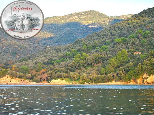 PoulaTo: ANTIΠΑΡΟΧΗ ΣΚΙΑΘΟΣ - GRANTING SEASIDE PROPERTY SKIATHOS