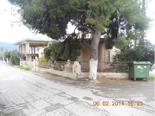 Δ. Ανθηδώνος Δροσιά, κτίριο 300 τ.μ.