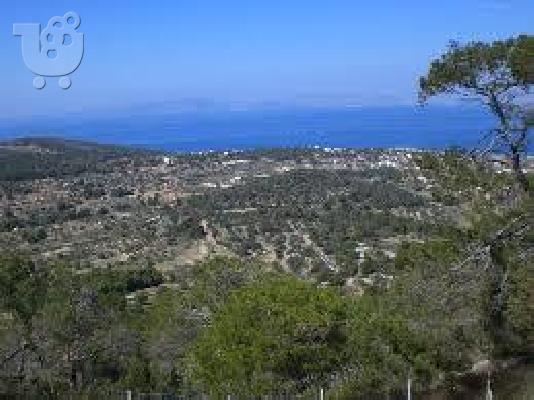 PoulaTo: ΓΙΩΡΓΟΣ