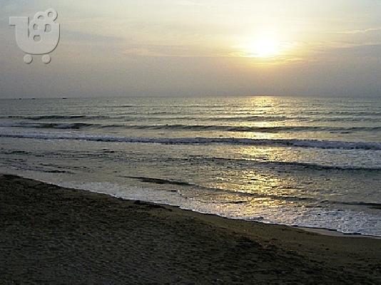 Πωλείται αγρόκτημα 12.500 τ.μ στην Κέρκυρα 