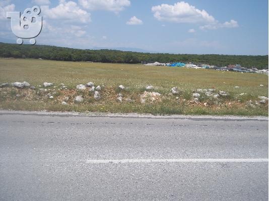 PoulaTo: ΠΩΛΕΙΤΑΙ Αγροτική έκταση 5.500 μ.